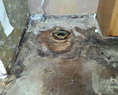 mold5